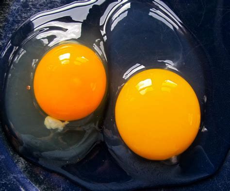 The Fascinating Thing Inside Raw Eggs Most People Have Never Noticed