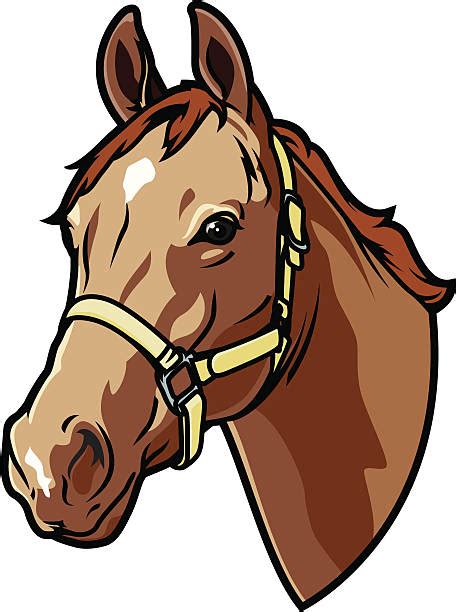 Clip Art Horse Face 20 Free Cliparts Download Images On Clipground 2023