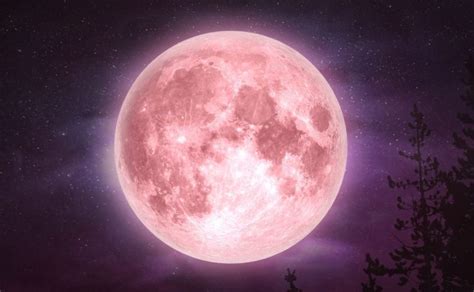 “superluna Rosa” ¿cuándo Se Podrá Observar Este Fenómeno Chapin Tv