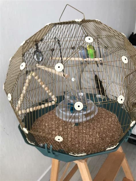 Geo Bird Cage The Beautiful Geodesic Parakeets Cage