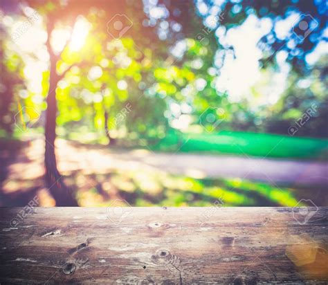 Download Park Outdoor Blur Background Summer Bokeh Morning Stock