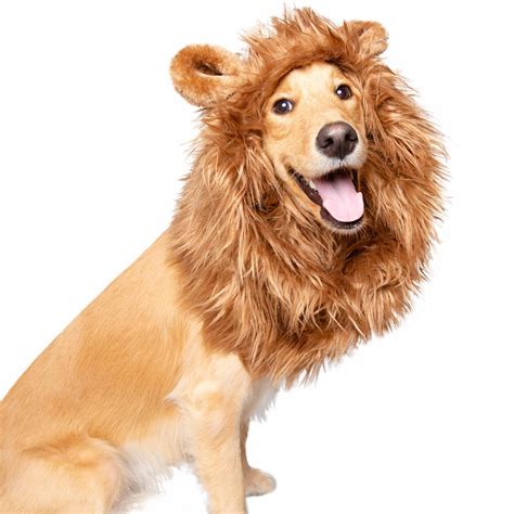 Lion Mane Dog Costume For Medium And Big Dogs Pet Krewe