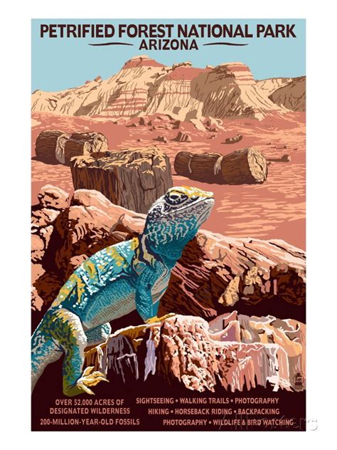 Petrified Forest National Park Arizona Prints Lantern Press