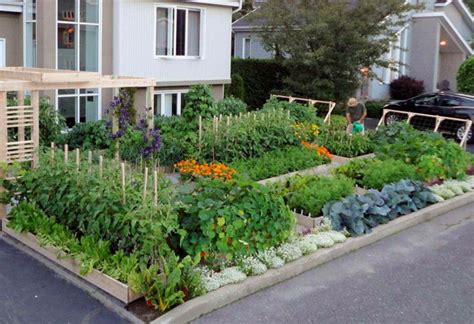 Edible Landscaping Ideas Design An Urban Vegetable Garden