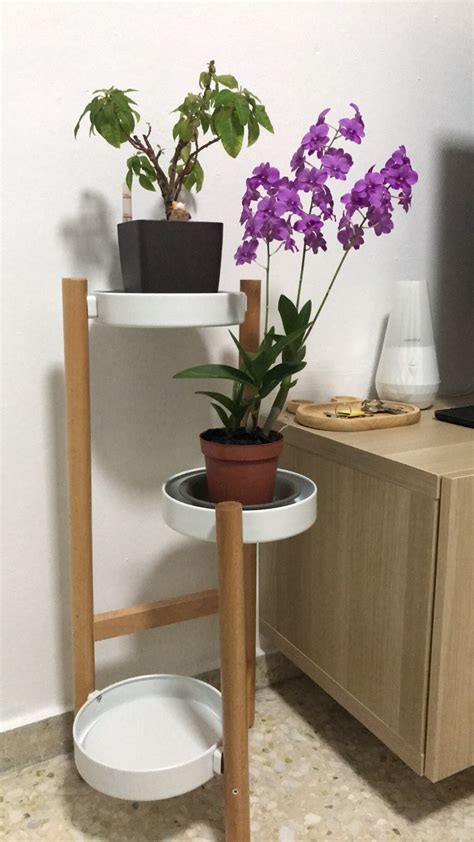 3 Tiered Corner Bamboo Wood Nordic Flower And Plant Stand For Etsy