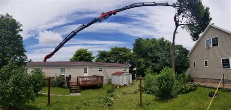 Seattle tree care will safely and efficiently remove your dangerous or unwanted tree. Tree Removal | Cutting Edge Tree Professionals