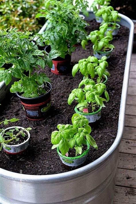 50 Best Container Vegetables Garden Inspirations Ideas Rexgarden