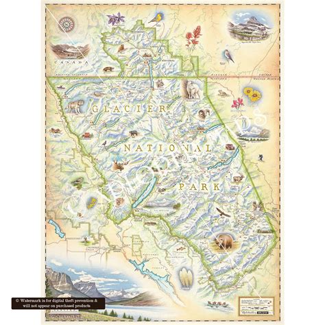 Glacier National Park Map Xplorer Maps