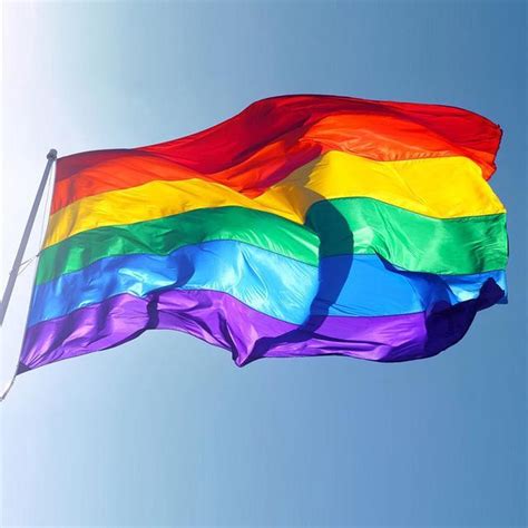 Lhbtq Vlag Regenboogvlag Gay Pride X Cm Ringen In Hoek Bol Com