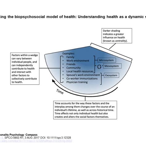 The Dynamic Biopsychosocial Model Of Health This Model Expands On The