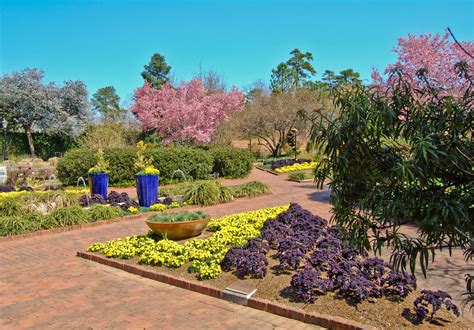 Georgia State Botanical Garden Photos
