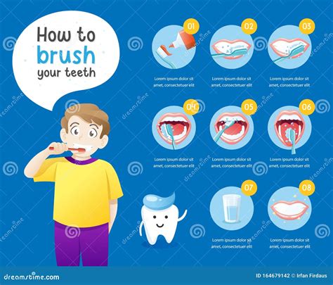 How To Brush Your Teeth Stock Illustrations 104 How To Brush Your