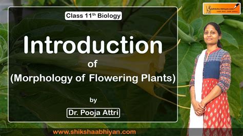 Introduction To Morphology Of Flowering Plants Cbse Class 11 Biology
