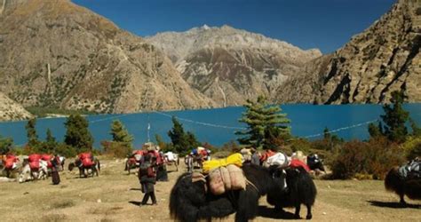 20 Days Of Dolpo Excursion Nepal