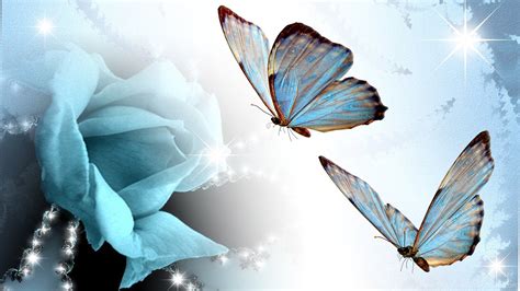 Wallpapers Butterflies Rose And Abstract Blue Butterfly 1920x1080