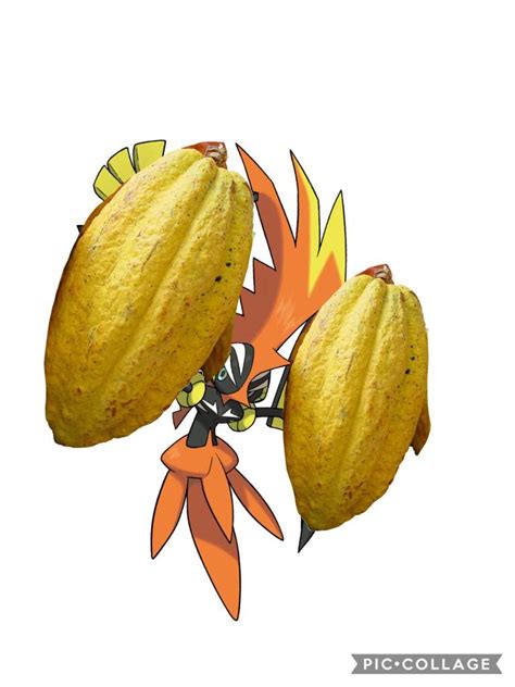 Tapu Cocoa Pokémon Amino