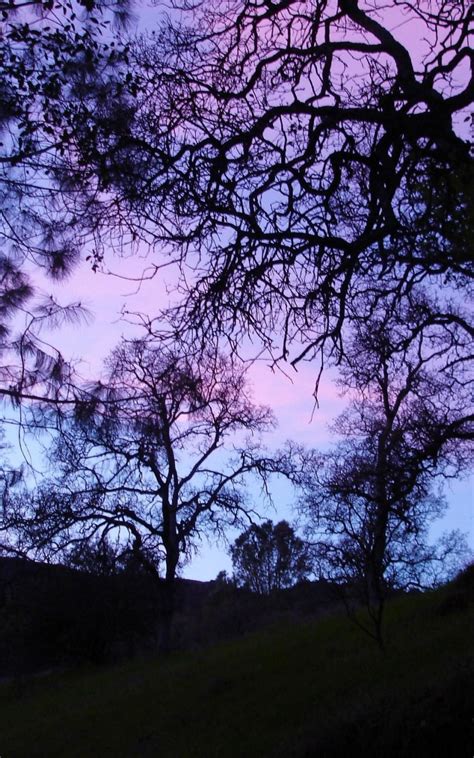 Discover more posts about aesthetic desktop wallpaper. Free download Purple Goth Wallpapers 62 images [2048x1536 ...