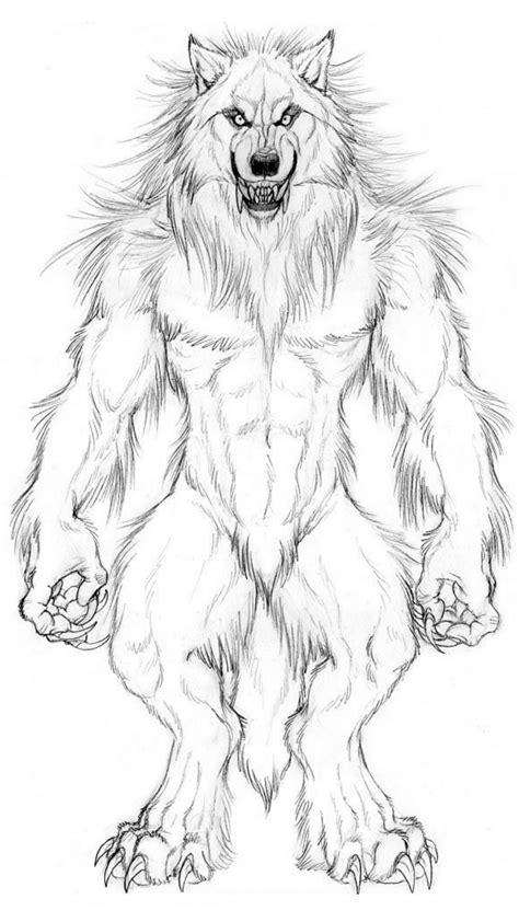 Werewolf Werewolf Drawing Werewolf Werewolf Art