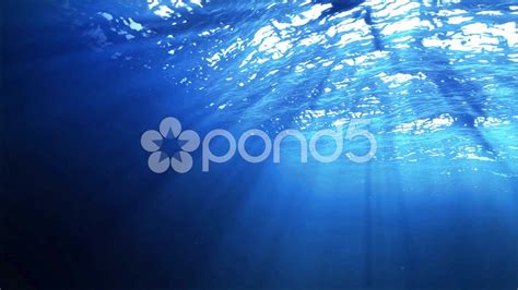 Ocean Underwater Stock Footageunderwateroceanfootagestock Ocean