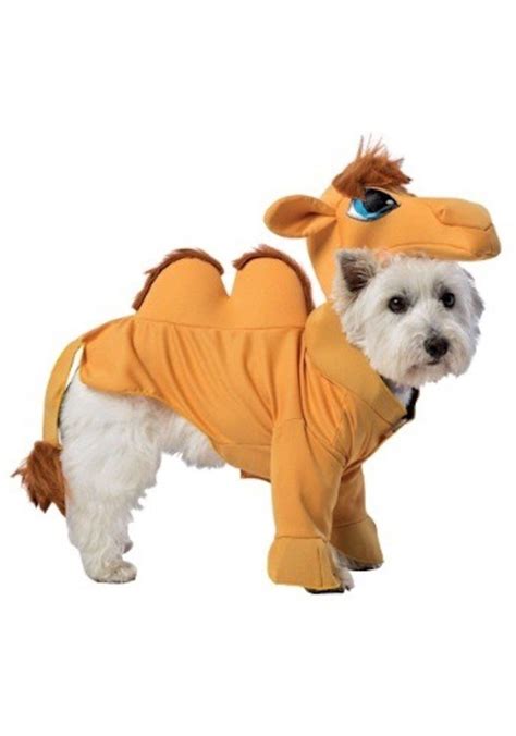 48 Of The Best Dog Halloween Costume Ideas For Your Pooch Pet