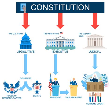 Politics Infographics Solution