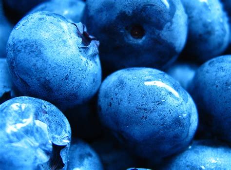 Blueberries Berries Blue Summer Hd Wallpaper Peakpx