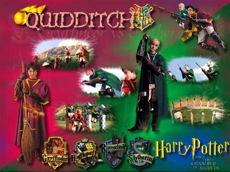 Hogwarts Quidditch Quidditch Wallpaper 16836262 Fanpop