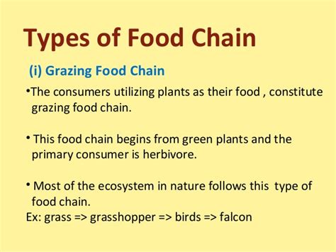 The plants get their energy from the sun. Foodchain foodweb and ecological cycle