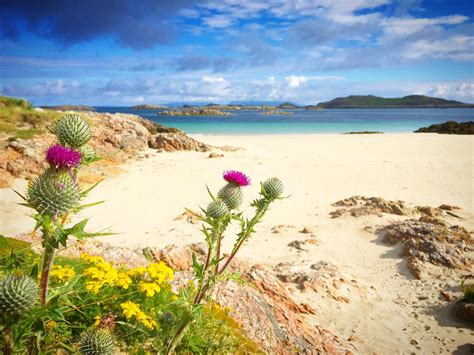 Isle Of Coll Beach With Thistle Beach Scenic Scottish Highlands