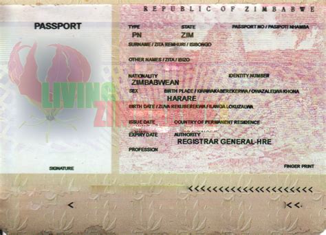 How To Identify A Fake Zimbabwean Passport