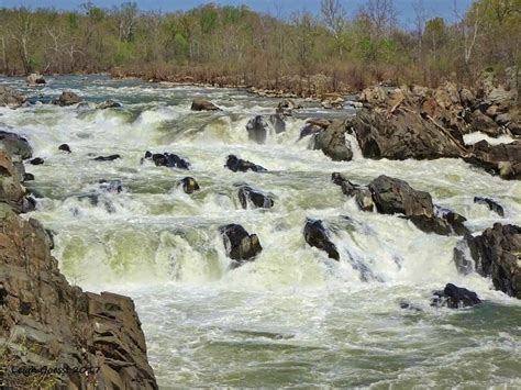 10 Fun Facts About Great Falls Park Virginia Things To See And Do