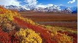 Images of National Park Alaska