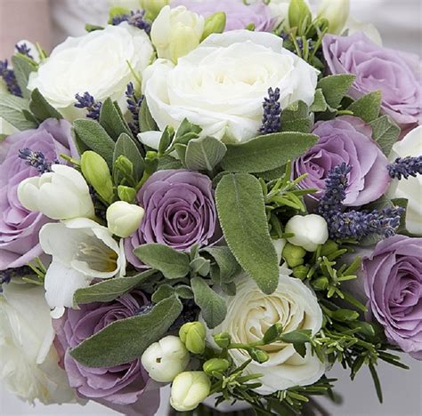 Lavender Sagerosemary Herbs With Memory Lane And Avalanche Roses