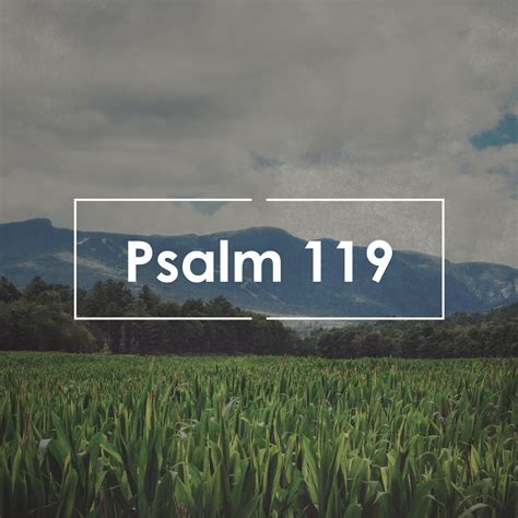 Psalm 1191 8 Oak Grove Baptist Church Okaloosa La