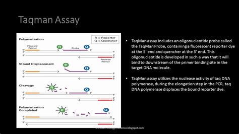 Real Time Pcr Assays Taqman Assay Vs Sybr Green Assay Differences Advantages And