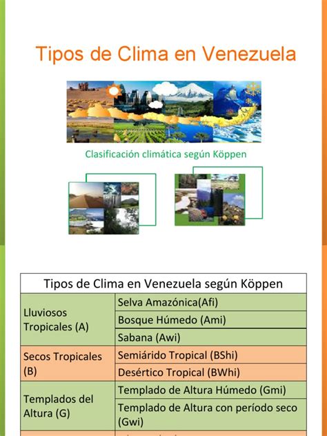 Climas En Venezuela Segun Koppen Zona Tropical Selva