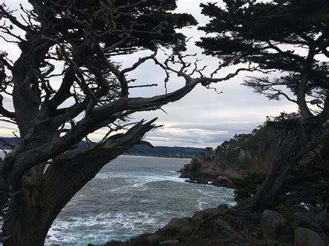 Point Lobos Carmel 2020 All You Need To Know Before You Go With