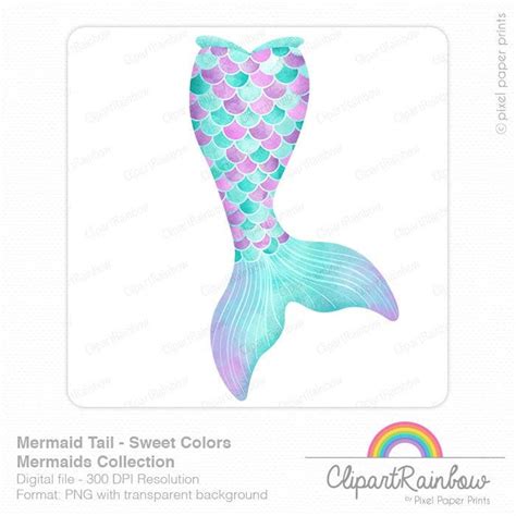 Watercolor Mermaid Tail Clip Art Mermaid Clip Art Etsy