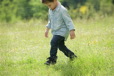 Little Boy Walking In Field Stock Photo Dissolve