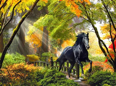 Fall Rays Horse Beautiful Trees Art Enchanted