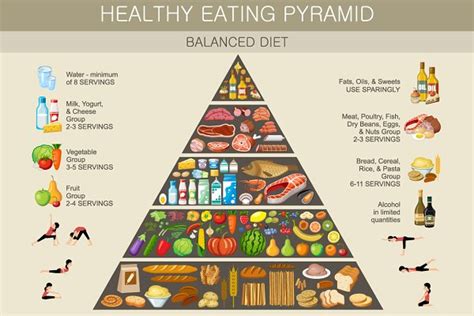 Food Pyramid Healthy Eating Infograp Custom Designed Illustrations