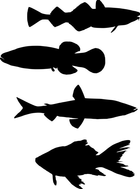 School Of Fish Silhouette At Getdrawings Free Download