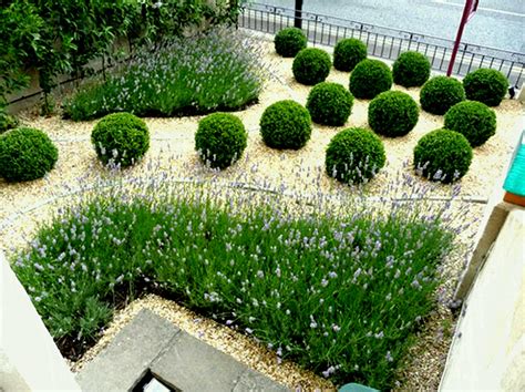 See the best designs for 2021! Low Maintenance Garden Border Ideas Archives Cool Trends ...