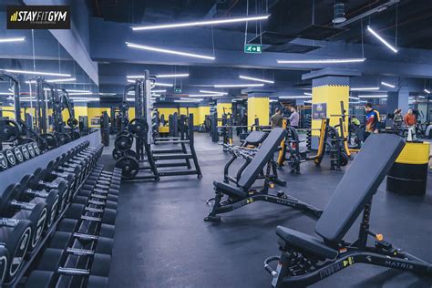 Stay Fit Gym, una dintre cele mai mari reţele de fitness & aerobic din
