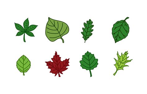 Leaves Icon Pack 173369 Vector Art At Vecteezy