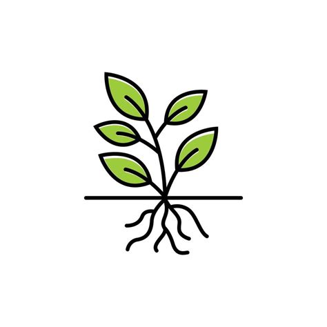 Plant Root Icon Design Template Vector Art At Vecteezy