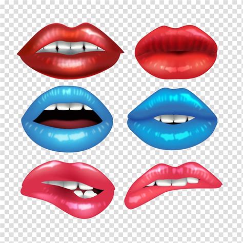 Lip Euclidean Animal Bite Mouth Sexy Lips Transparent Background Png