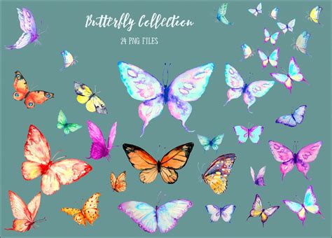 Watercolor Butterfly Collection ~ Illustrations ~ Creative Market
