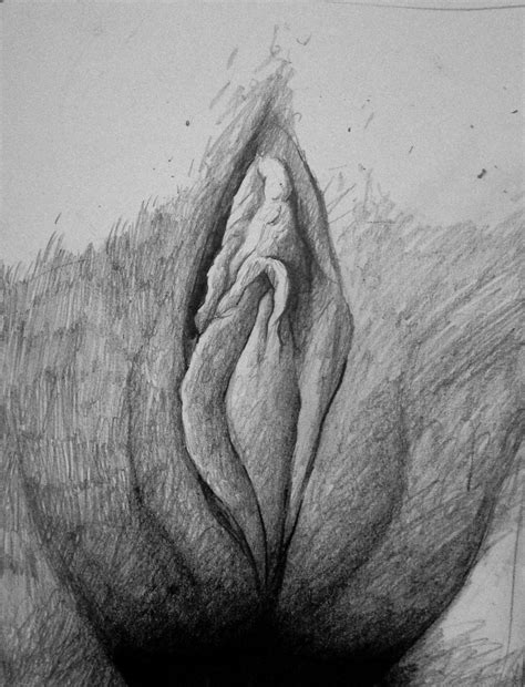 Pussy Licking Sketches Telegraph