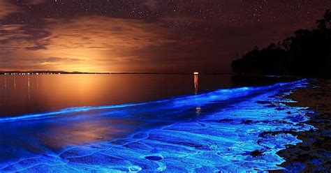 Glowing Bioluminisant Beach In Maldives Knudge Factory